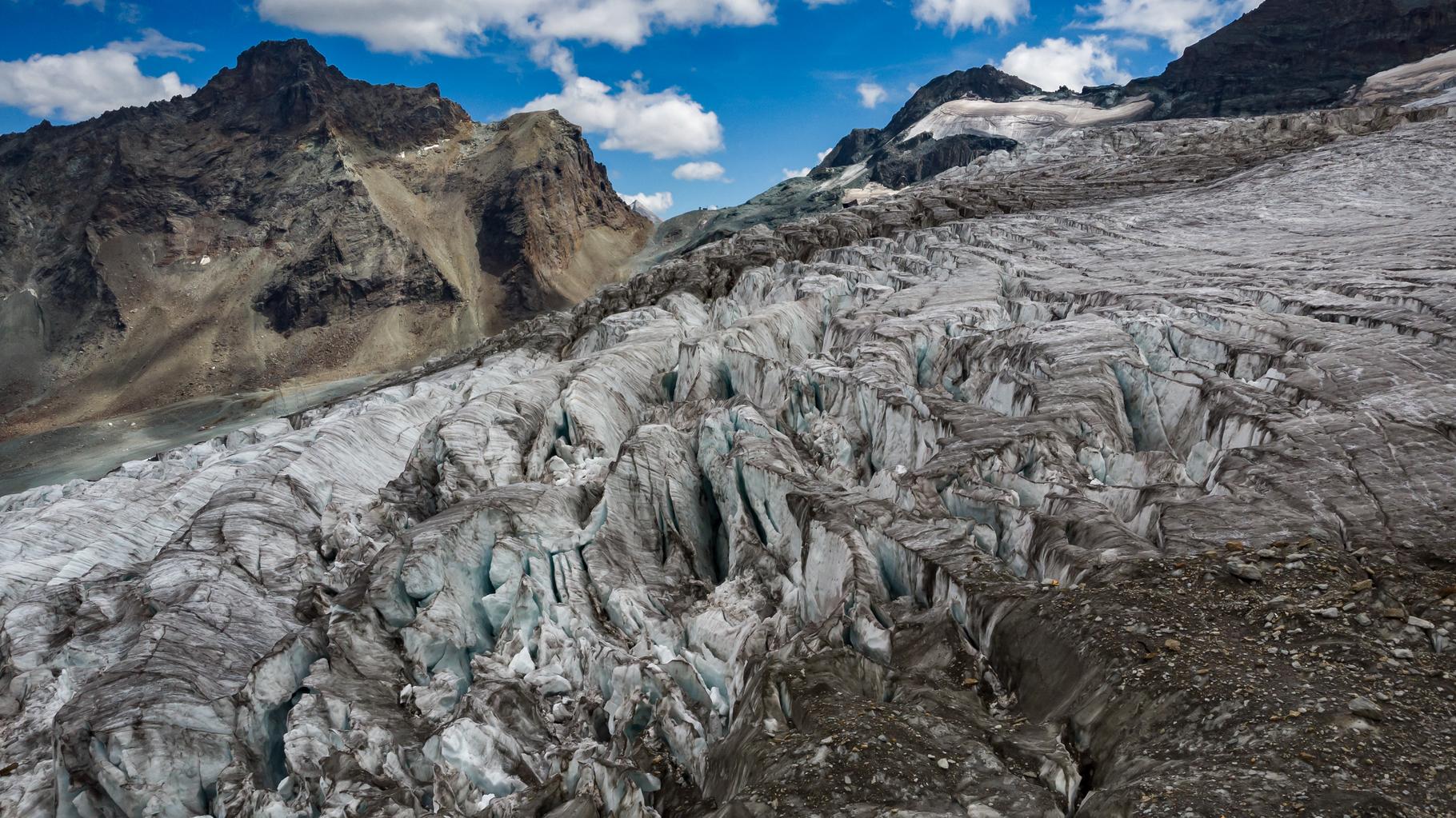 En Suisse, comment un chihuahua a sauvé la vie d’un homme tombé dans une crevasse