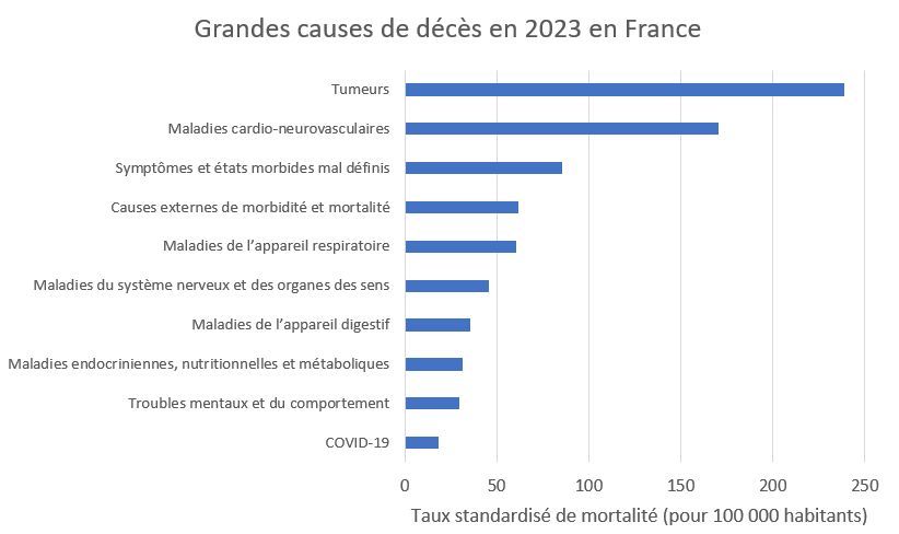 Grandes causes de décès en 2023 en France.