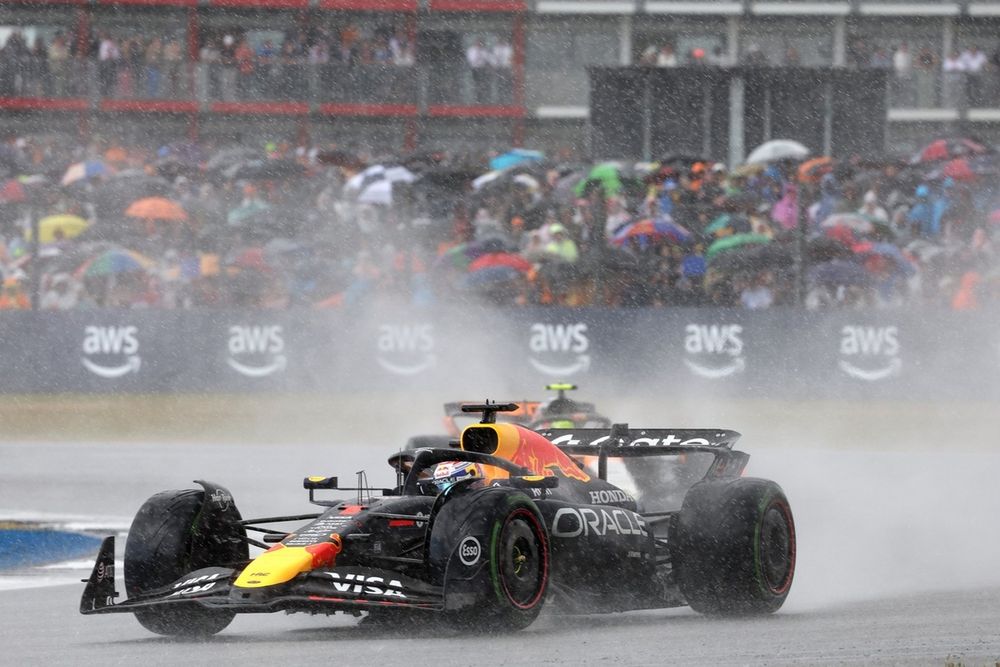 Max Verstappen (Red Bull Racing)