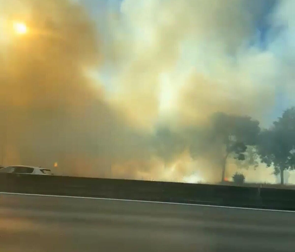 Un feu ravage six hectares de végétation au bord de l'autoroute A64 à Toulouse, les pompiers sont sur place
