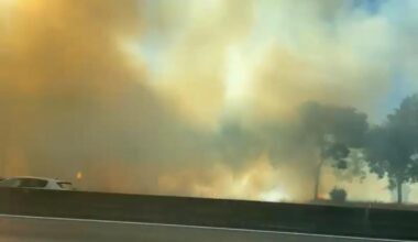 Un feu ravage six hectares de végétation au bord de l'autoroute A64 à Toulouse, les pompiers sont sur place