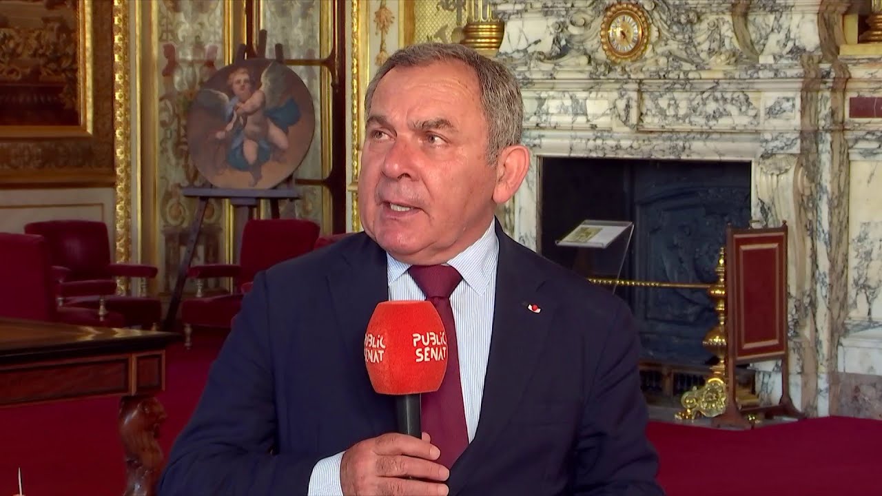 Loi Paris, Lyon et Marseille : sur quels motifs les sénateurs LR et de gauche vont déposer leurs recours devant le Conseil constitutionnel ?