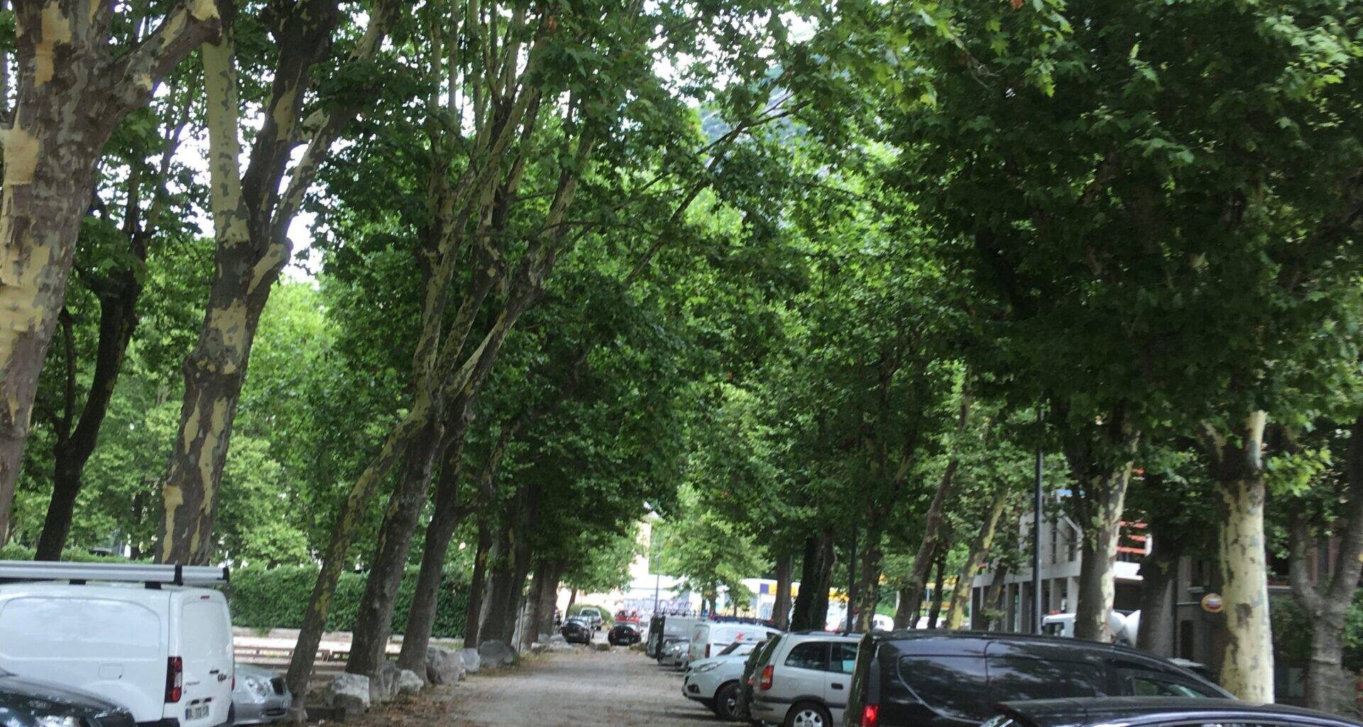 LES GRENOBLOIS DÉCIDERONT AUX ÉLECTIONS MUNICIPALES