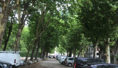 LES GRENOBLOIS DÉCIDERONT AUX ÉLECTIONS MUNICIPALES