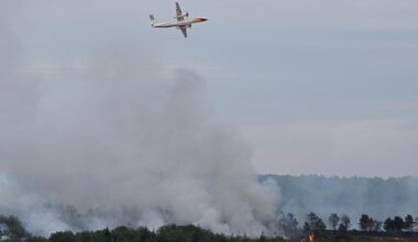 La forêt de Brocéliande touchée par un incendie important, 200 pompiers mobilisés