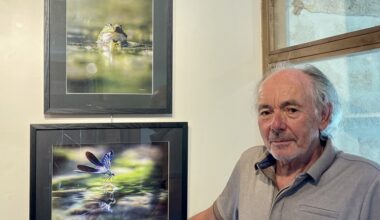 Montcuq-en-Quercy-Blanc. Les batraciens dans l’objectif de Bernard Roux