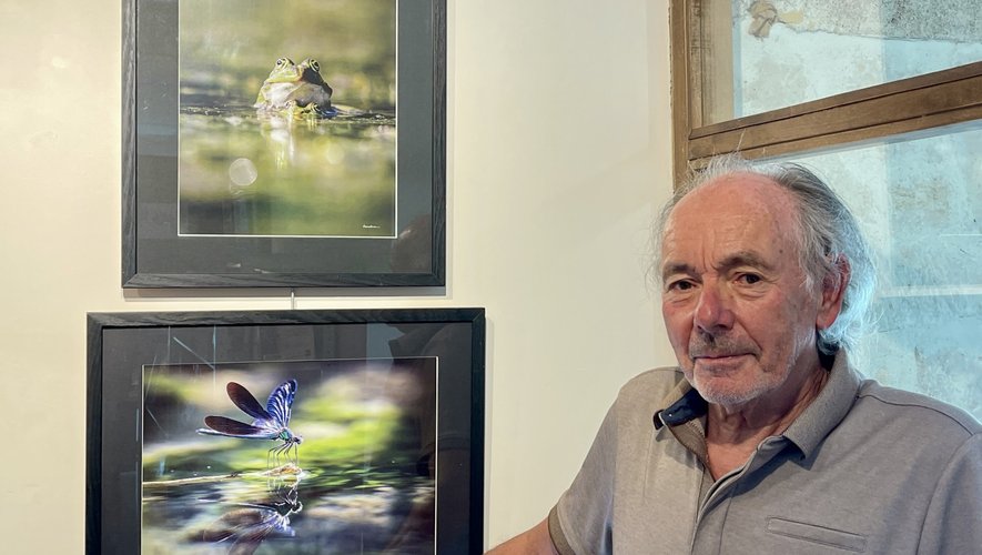 Montcuq-en-Quercy-Blanc. Les batraciens dans l’objectif de Bernard Roux
