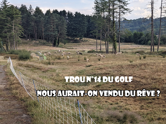 Quand le fairway devient un pâturage : Lourdes et le mystère du pitch & putt ovin