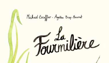 Un album pour les petits aussi déterminés que les fourmis !