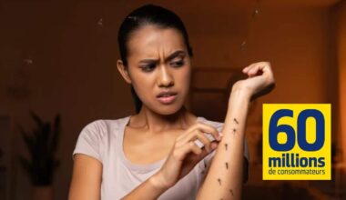 Ce spray contre les moustiques tigres est le meilleur selon les experts 60 Millions de consommateurs