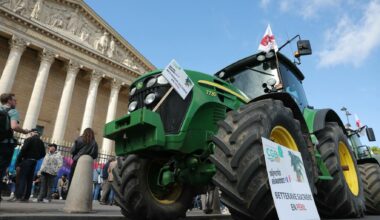 Ces autres points de la loi Duplomb éclipsés par la réintroduction de l’acétamipride