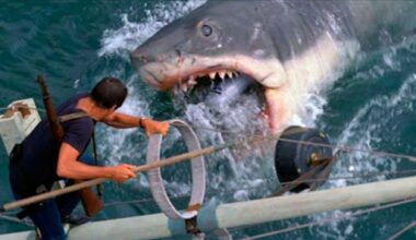 Comme « Dangerous Animals », ces films de requins qui vous couperont l’envie de barboter dans la mer