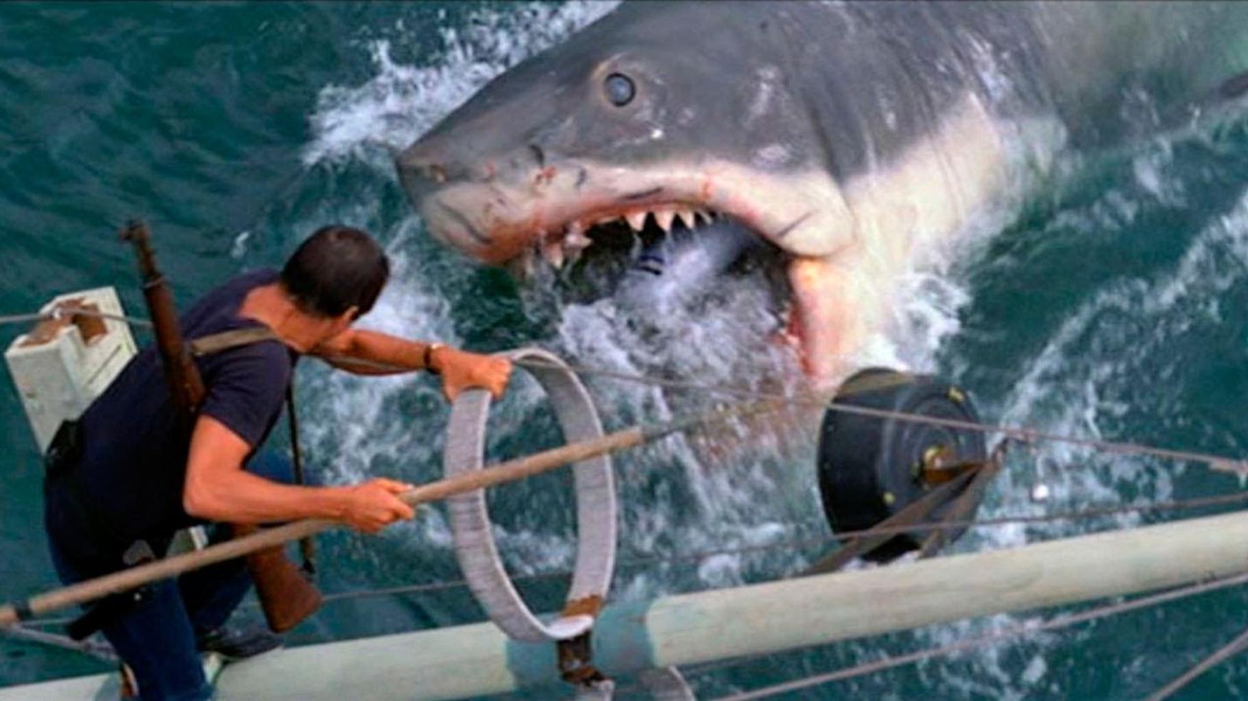 Comme « Dangerous Animals », ces films de requins qui vous couperont l’envie de barboter dans la mer