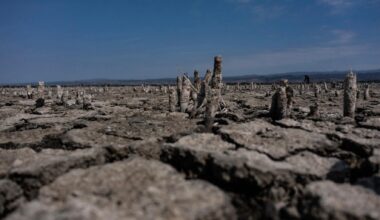 En Turquie, ce record de chaleur à plus de 50 °C est un nouvel exemple du réchauffement climatique