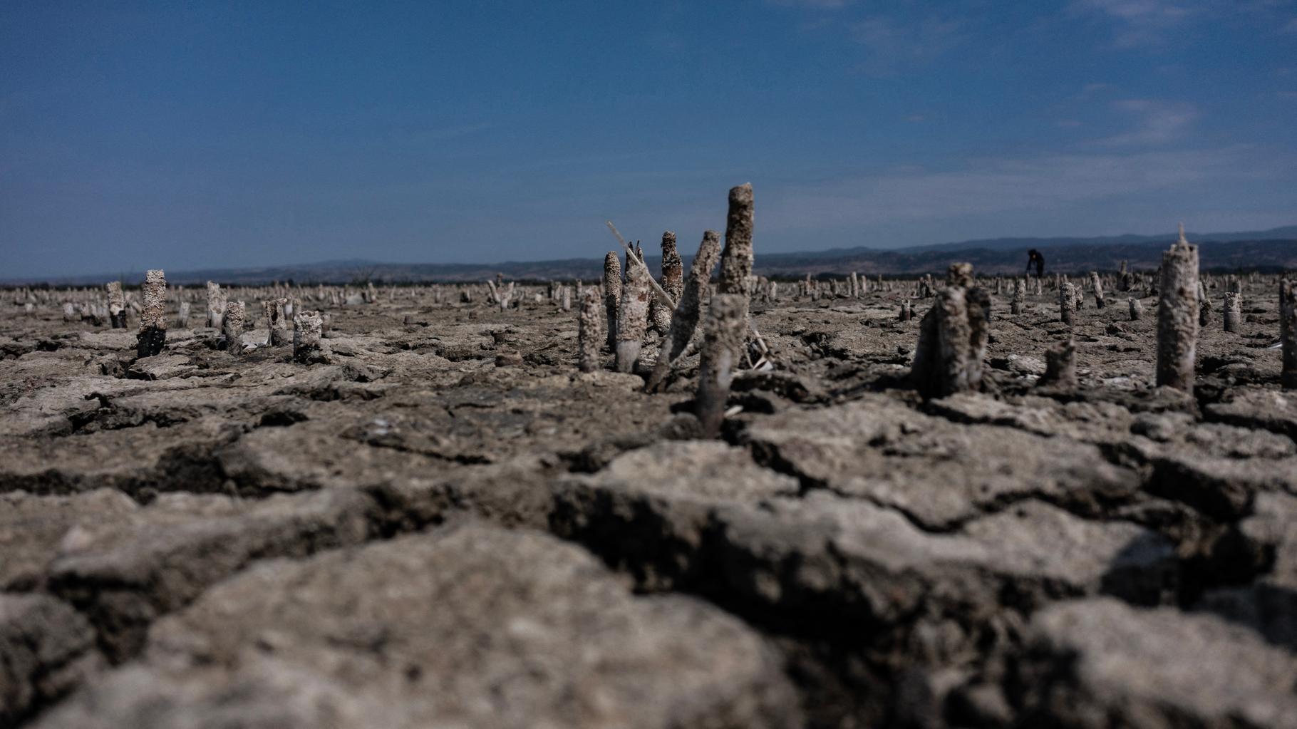 En Turquie, ce record de chaleur à plus de 50 °C est un nouvel exemple du réchauffement climatique