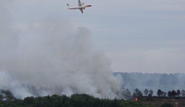 100 hectares brûlés dans la forêt de Brocéliande près de Rennes