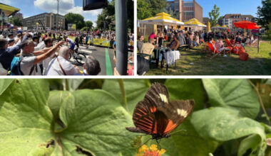 Vélo, balades, guinguettes... Que faire le premier week-end des grandes vacances vers Lille ?