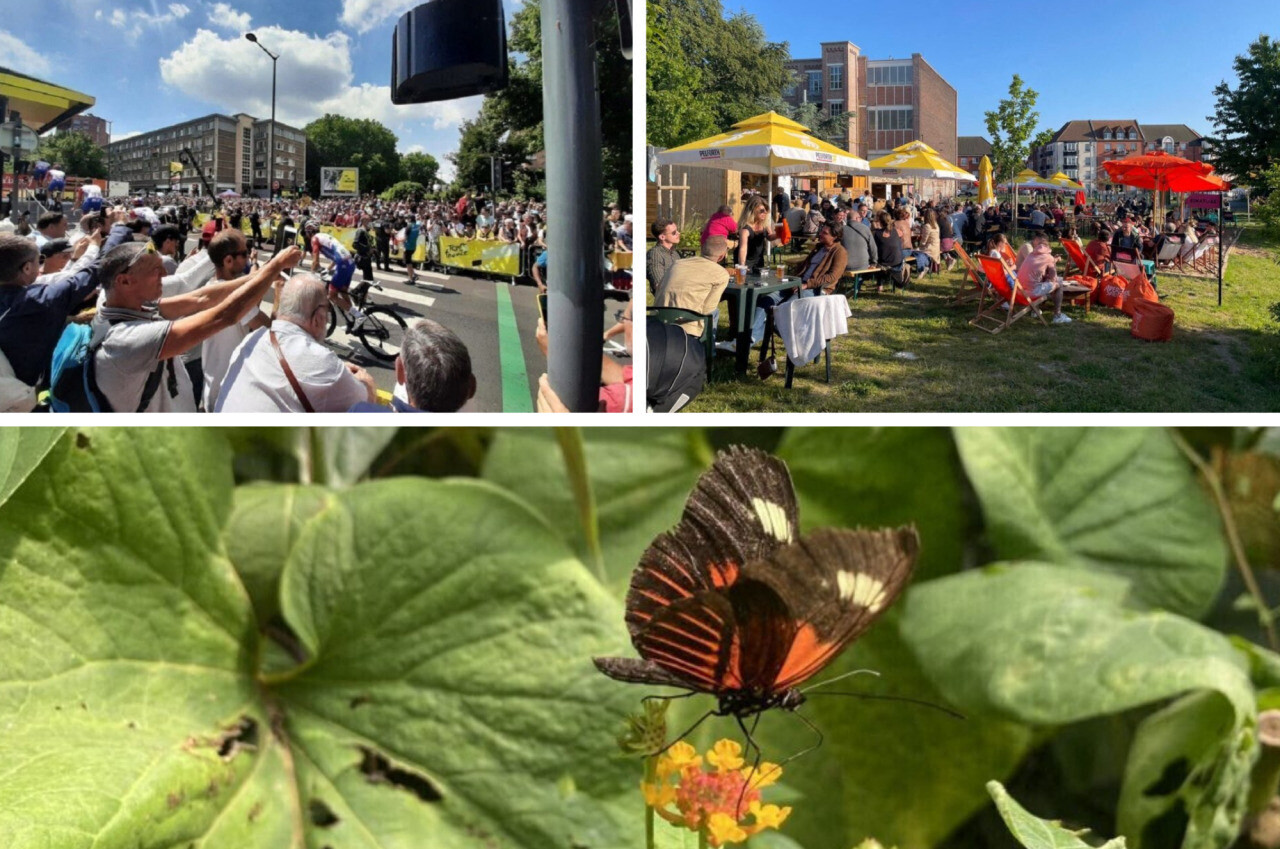 Vélo, balades, guinguettes... Que faire le premier week-end des grandes vacances vers Lille ?