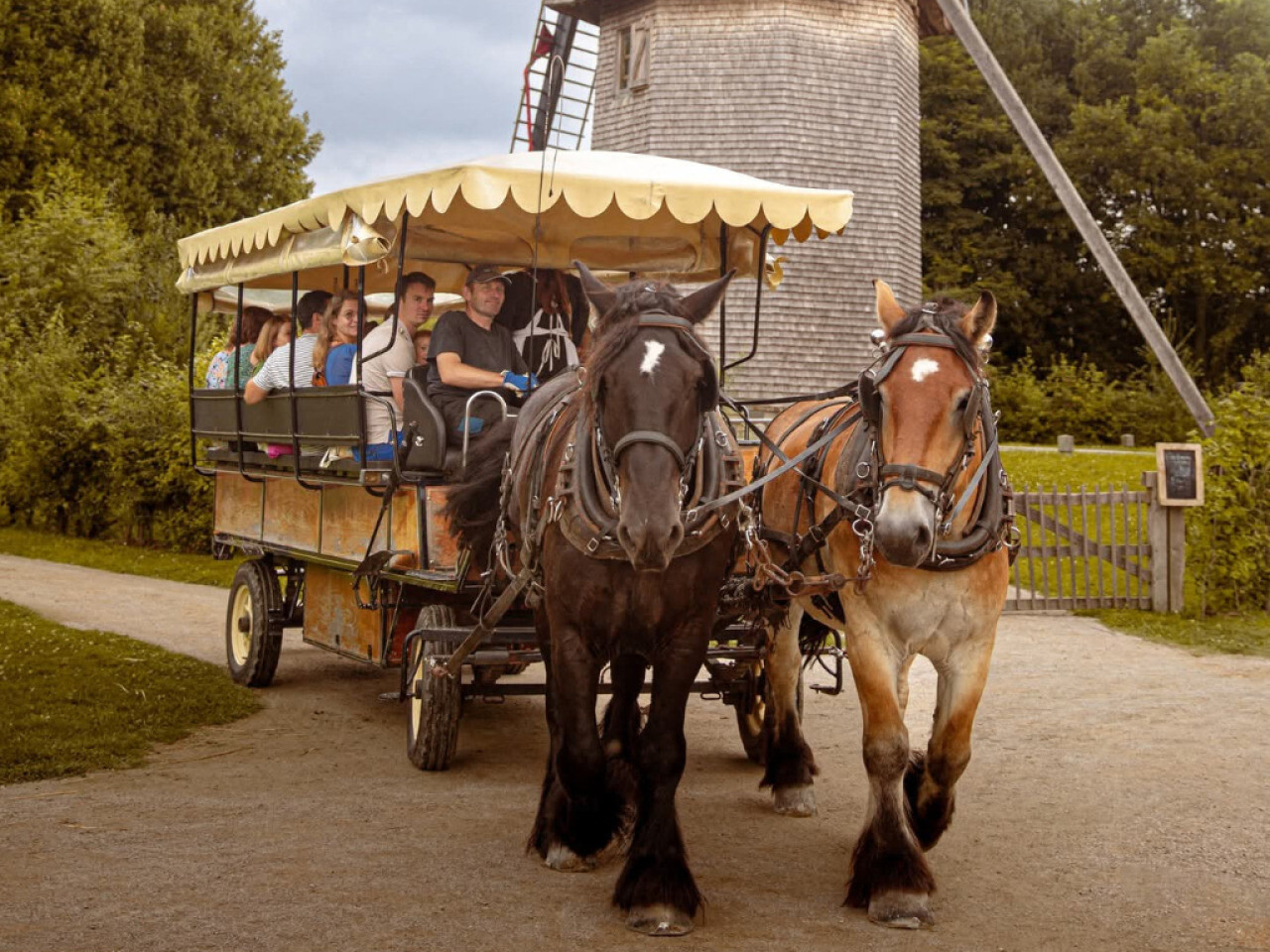 Promenades en calèche, spectacles... La fête du cheval, c'est ce dimanche à Villeneuve-d'Ascq