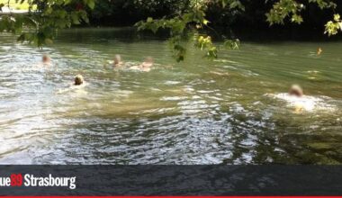 Strasbourg pas pressée d'autoriser la baignade dans l’Ill