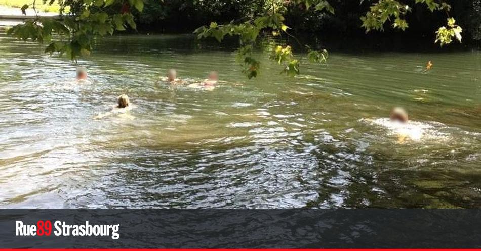 Strasbourg pas pressée d'autoriser la baignade dans l’Ill