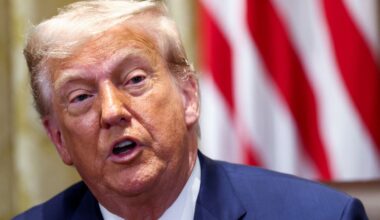 Donald Trump : un accord commercial avec l'UE prévoit des droits de douane plus élevés qu'avec le Royaume-Uni, selon le Financial Times