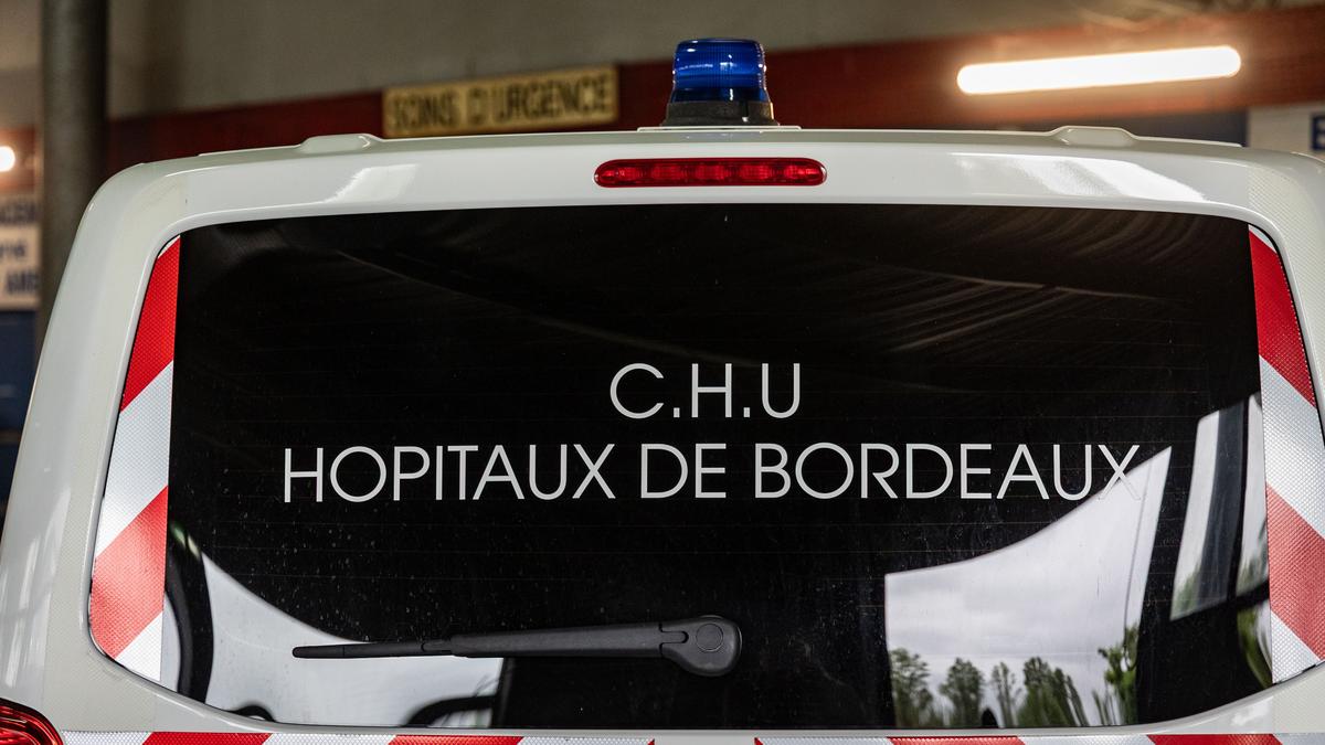 Chikungunya : un premier cas autochtone du virus est déclaré en Nouvelle-Aquitaine - Sud Ouest