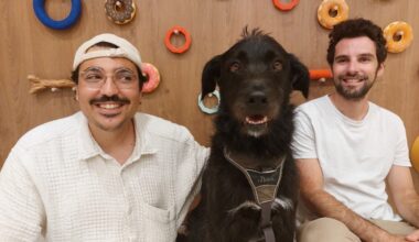 Aire de jeux, garderie, toilettage… Le premier social club pour chien de France, "The Dogry", débarque à Paris