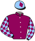 casaque_CELESTIAL