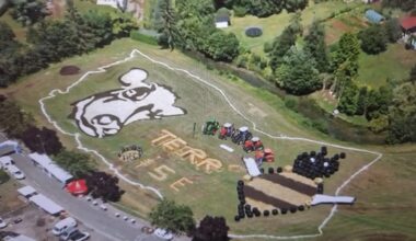 Pour le Tour de France, deux magnifiques fresques géantes filmées dans les champs de l'Oise
