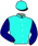 casaque_HAVOC