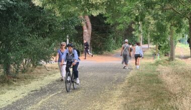 Où trouver un coin de fraîcheur à Toulouse ? Une carte interactive liste les "refuges climatiques" de la ville