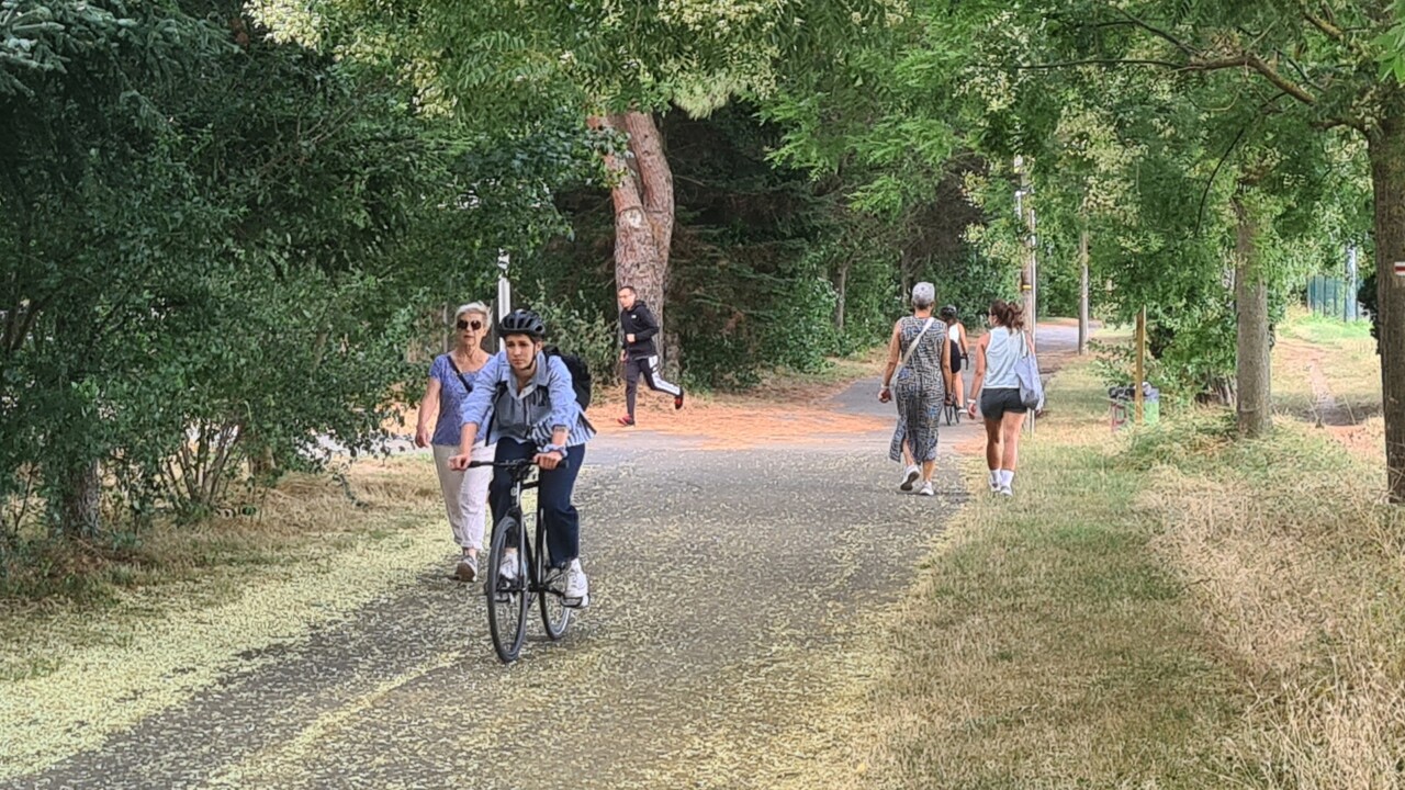 Où trouver un coin de fraîcheur à Toulouse ? Une carte interactive liste les "refuges climatiques" de la ville