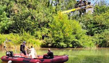 Perchés dans les arbres, des militants anti-LGV expulsés par la gendarmerie dans une ZAD près de Toulouse