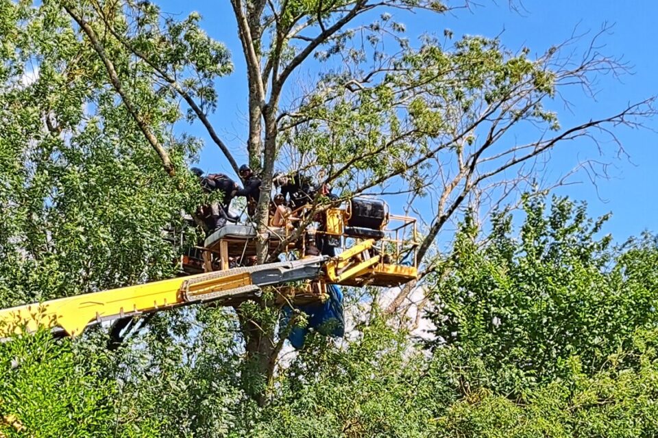 Les écureuils de la guinguette vaillante 5.0 ont été délogés.