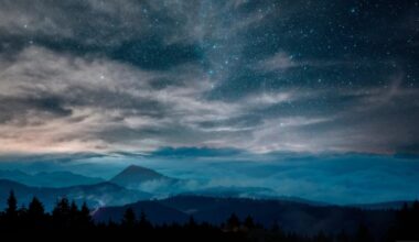 Étoiles filantes : quelle est la nuit à ne pas manquer cet été ? : Actualités