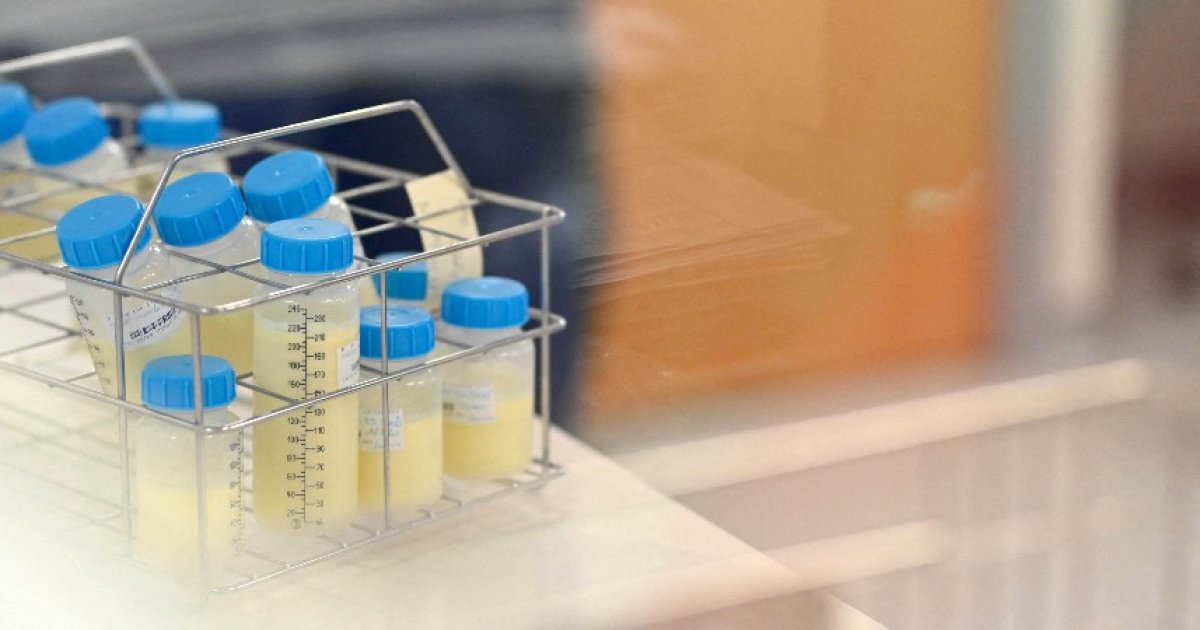 Un cancérigène potentiel pour l’être humain détecté dans le lait maternel, malgré son interdiction : Actualités