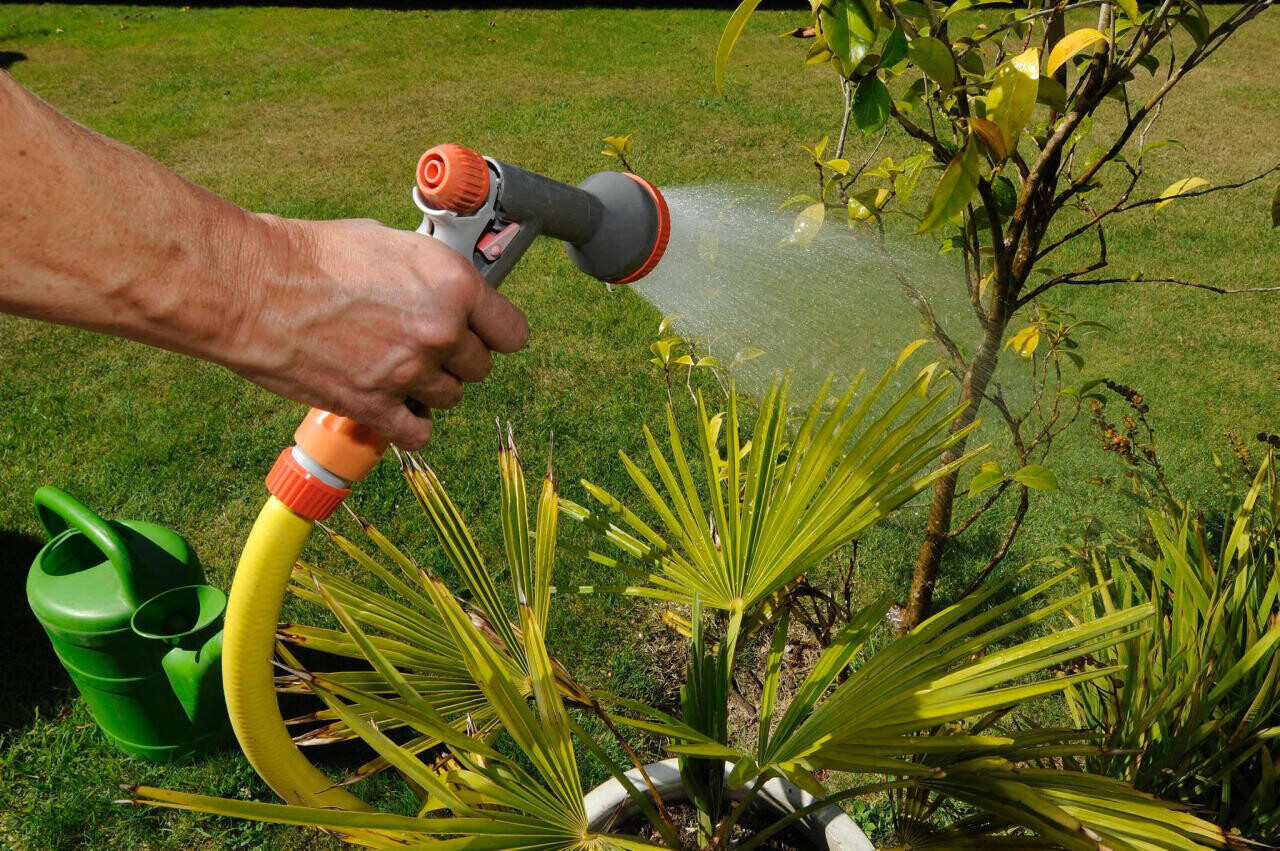 Pour réduire la consommation d'eau des propriétaires, Rennes Métropole lance une aide financière