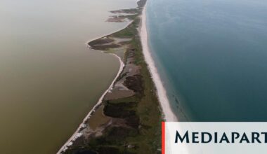 Ukraine : au bord de la mer Noire, l’écocide s’ajoute à la guerre - Mediapart