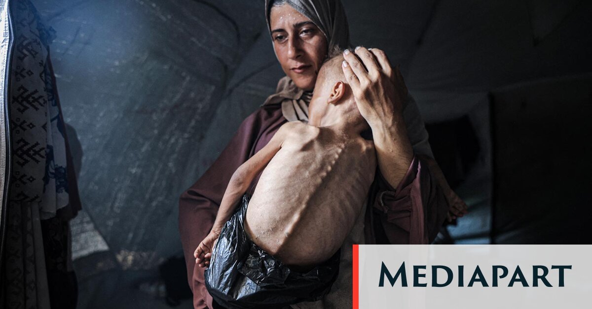 « Sauvez-nous. Nous mourons » : la famine emporte Gaza