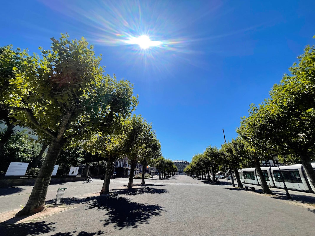Illustration canicule