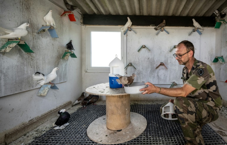 Le maréchal des logis Sylvain du 8e régiment de transmissions de l