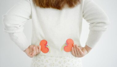 les bons réflexes à adopter pour ne pas abîmer vos reins sans le savoir