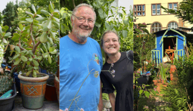 à Strasbourg, un jardinier de 68 ans soigne nos plantes gratuitement !