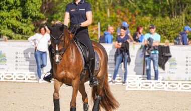 des championnats d’Europe de… poney près du Mans