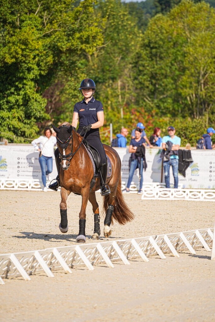 des championnats d’Europe de… poney près du Mans