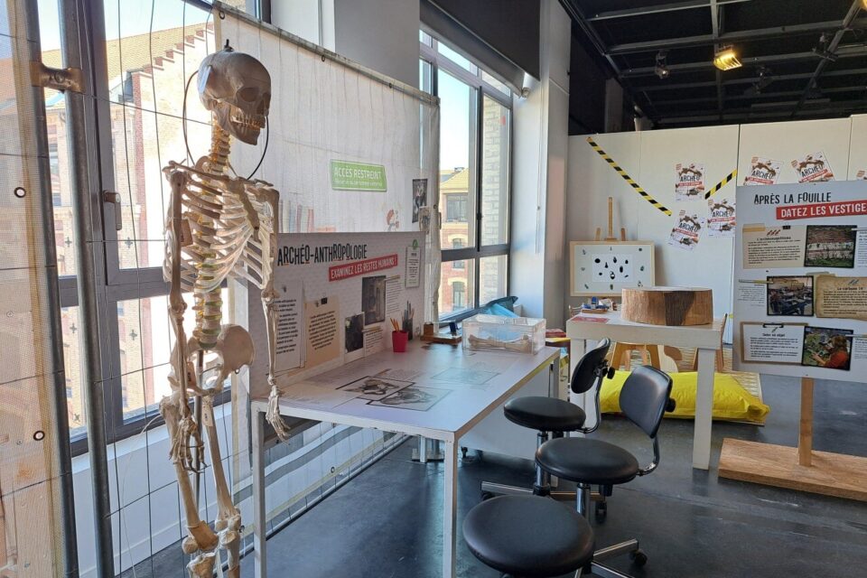 Archéo une expo à creuser Elbeuf