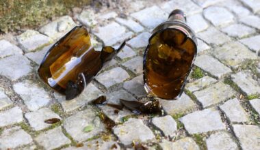 à Rennes, la soirée "moules" vire à la bagarre