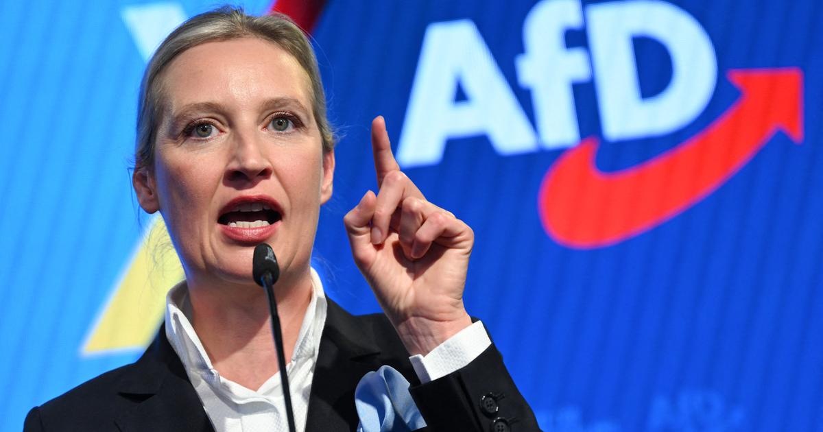 en Rhénanie-Palatinat, les membres de l’AfD ne pourront plus être fonctionnaires