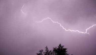 voici les prévisions de Météo-France
